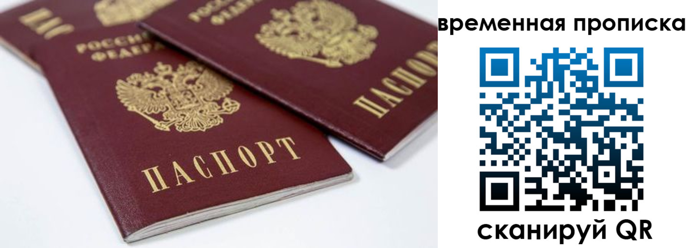 прописка для школы в Северске